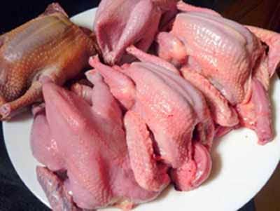 hình sản phẩm Chim Bồ Câu Thịt